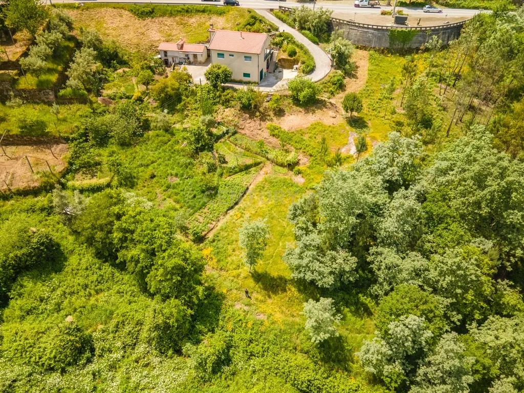 Terreno para Recuperação com Vista Campestre em Marco de Canaveses - Image 8
