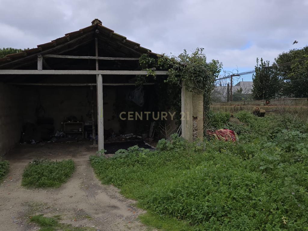 Terreno Urbano de 3.900 m², com moradia térrea sem licença – Charneca de Caparica - Image 10