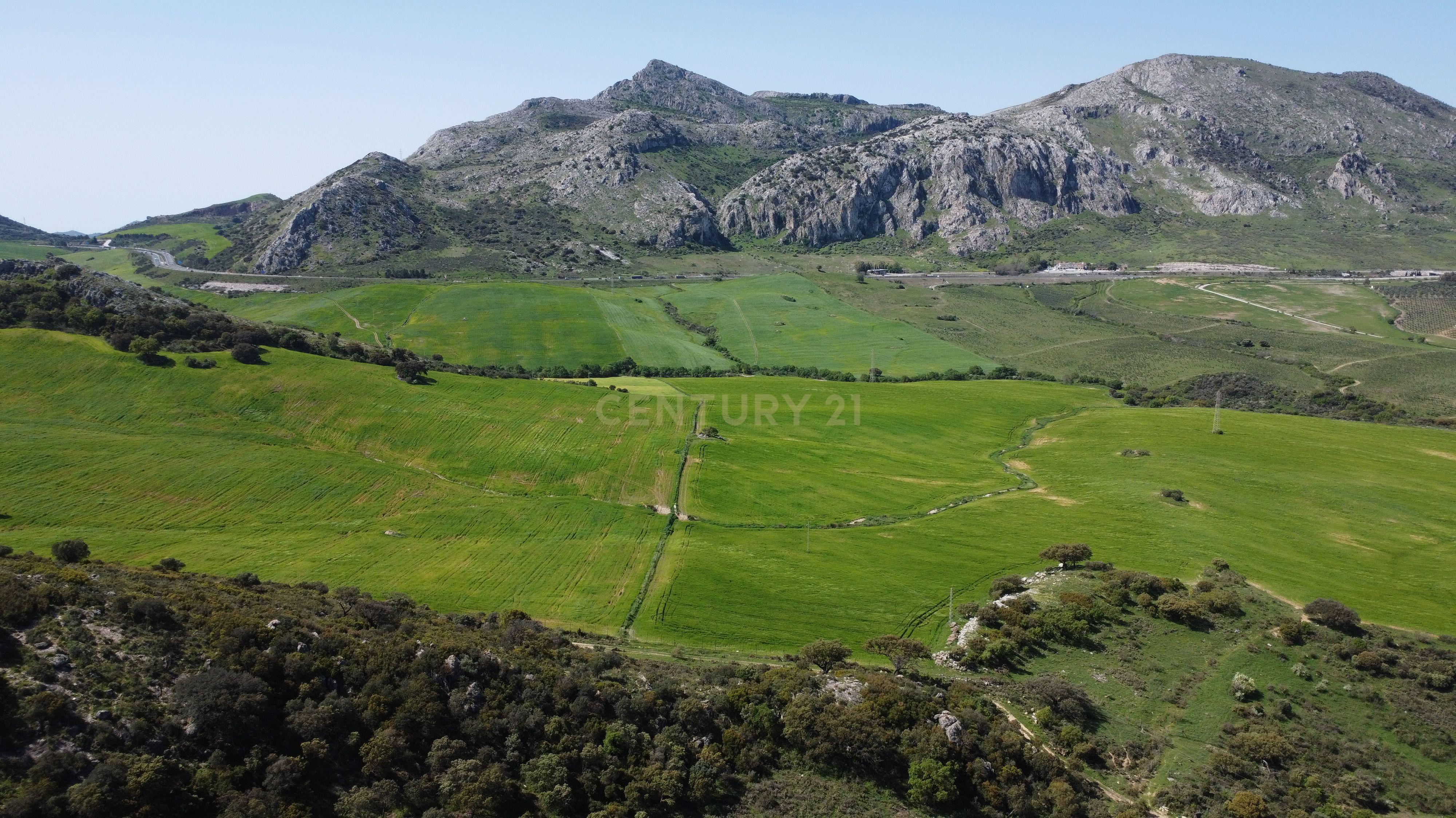 VENDA DE PROPRIEDADE RÚSTICA EM ANTEQUERA COM EXPLORAÇÃO DE AGROTURISMO - Image 3
