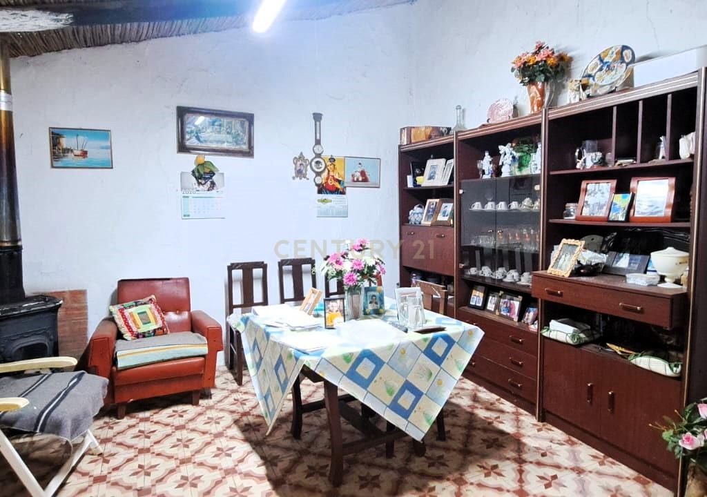 Quinta com moradia para reabilitação, na zona de Messines - Image 12