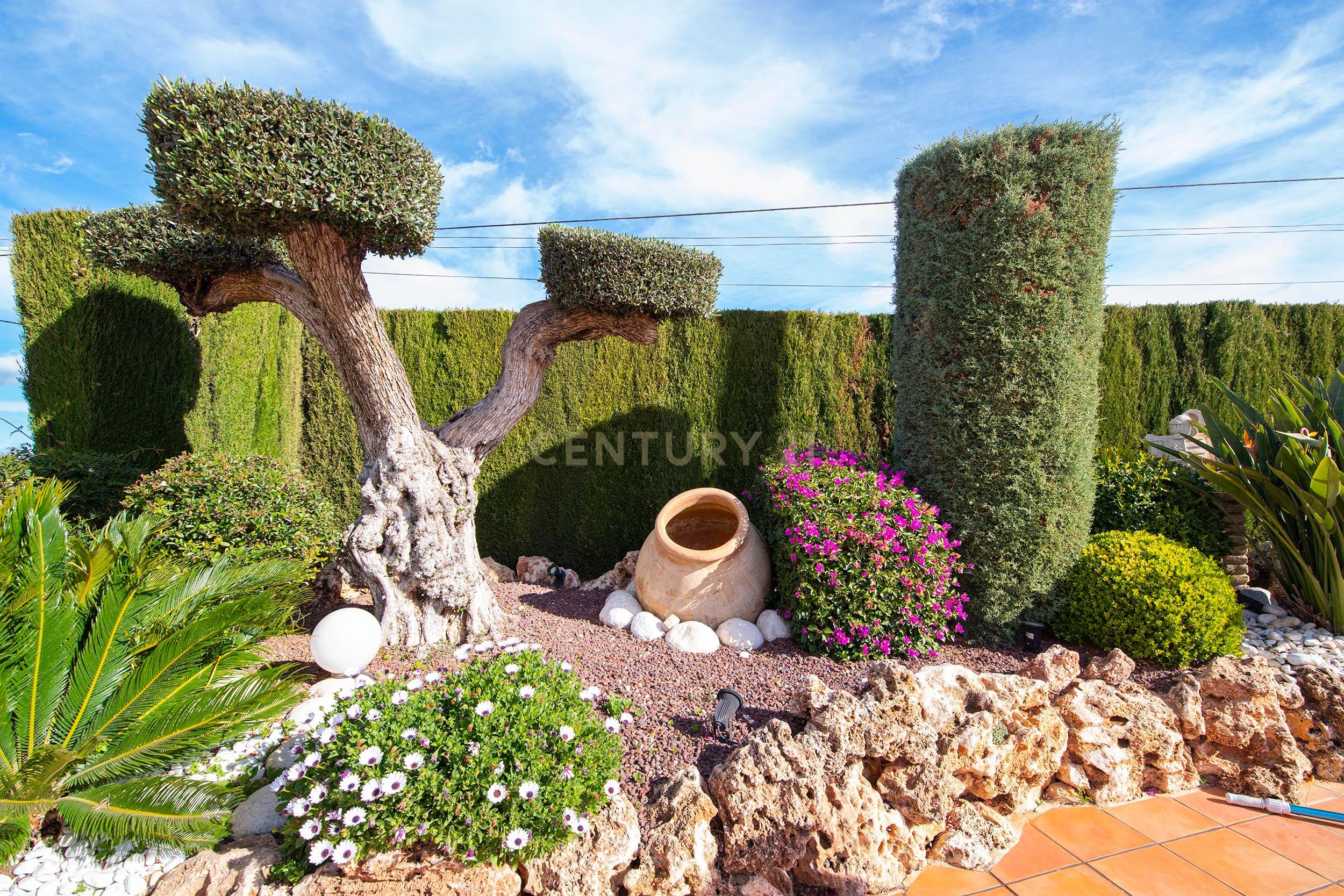 undefined - Image 25