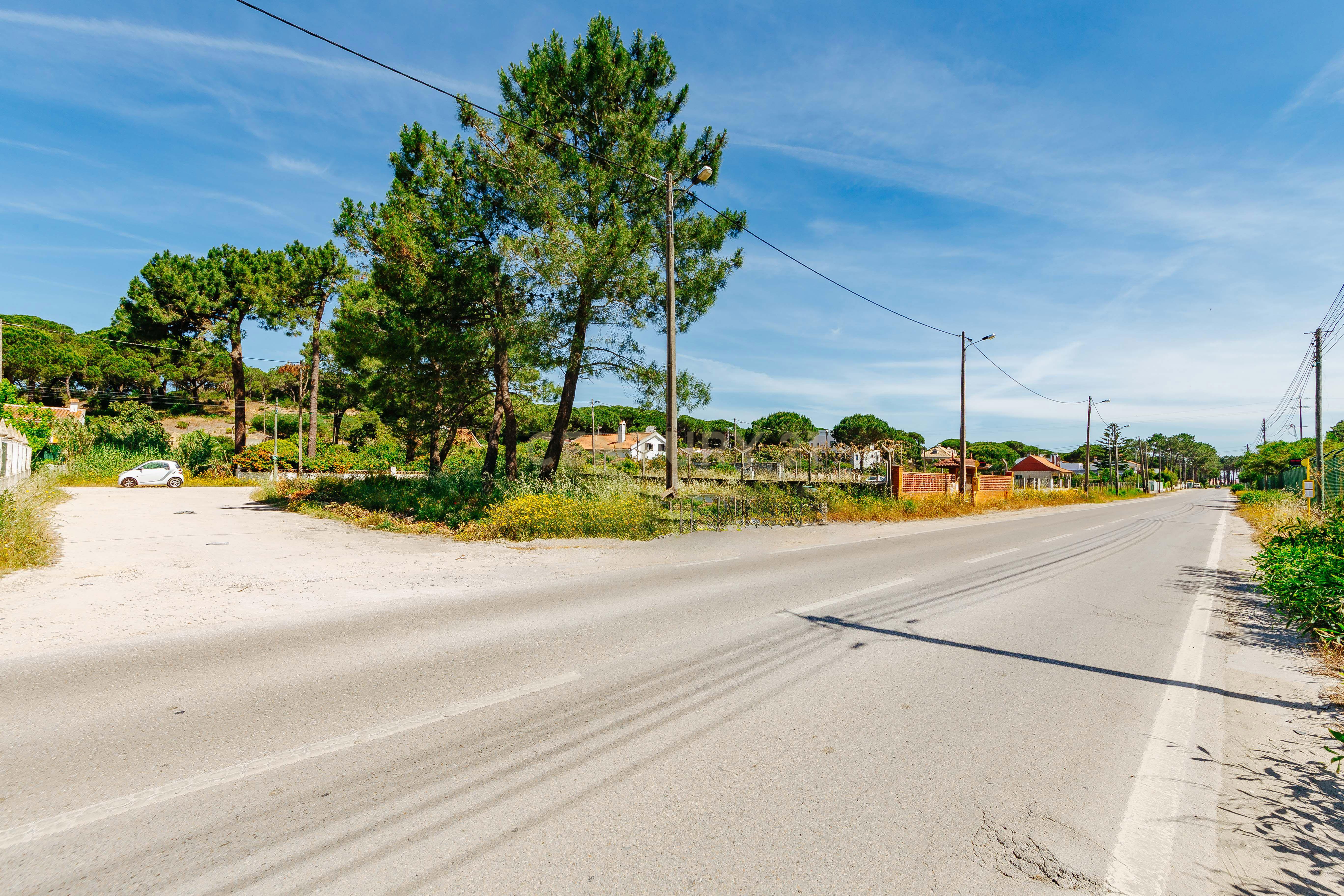 Fotografia 5 de Terreno Urbano na Charneca de Caparica | Pinhal da Aroeira