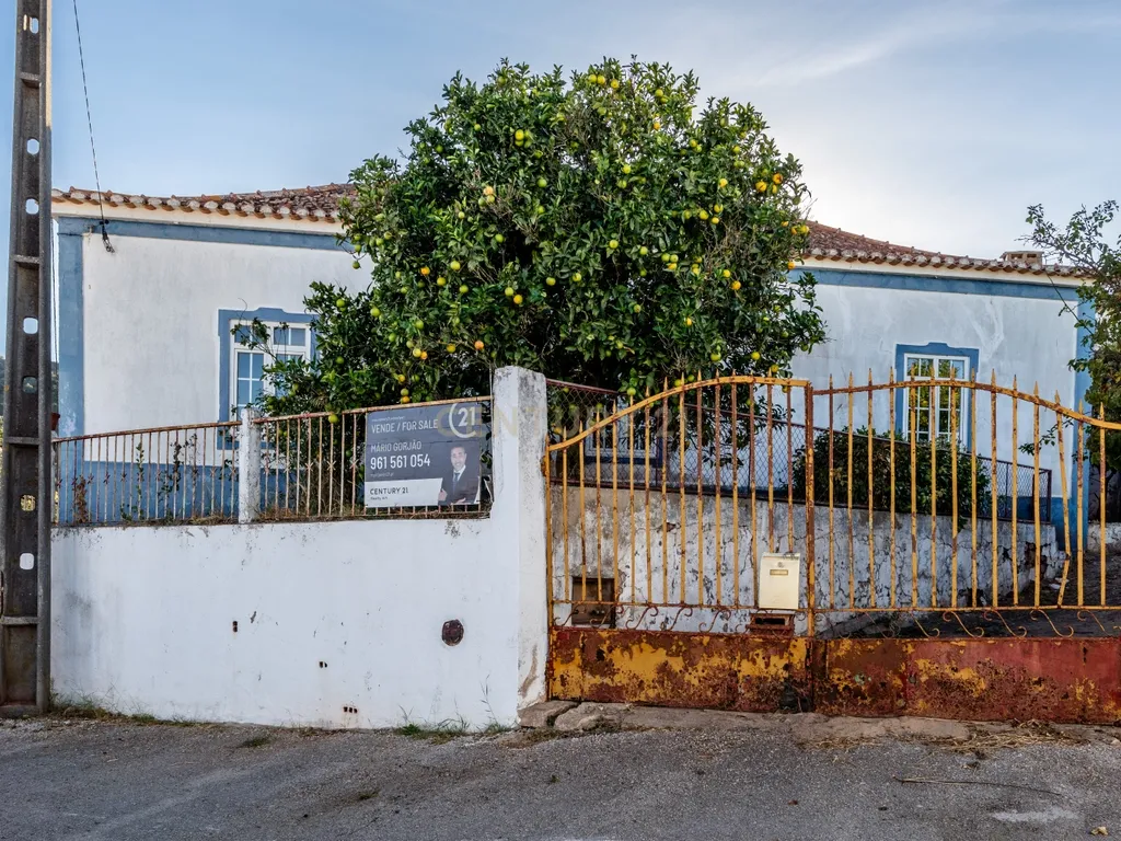 Tradicional moradia térrea I Logradouro I Amorosa – São Bartolomeu de Messines - Image 3