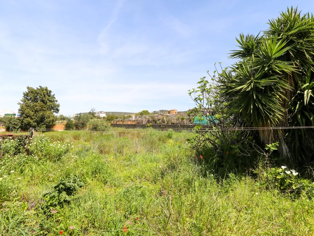 TERRENO EM CAMPINA GRANDE LOULÉ- URBANO E RÚSTICO - Image 32