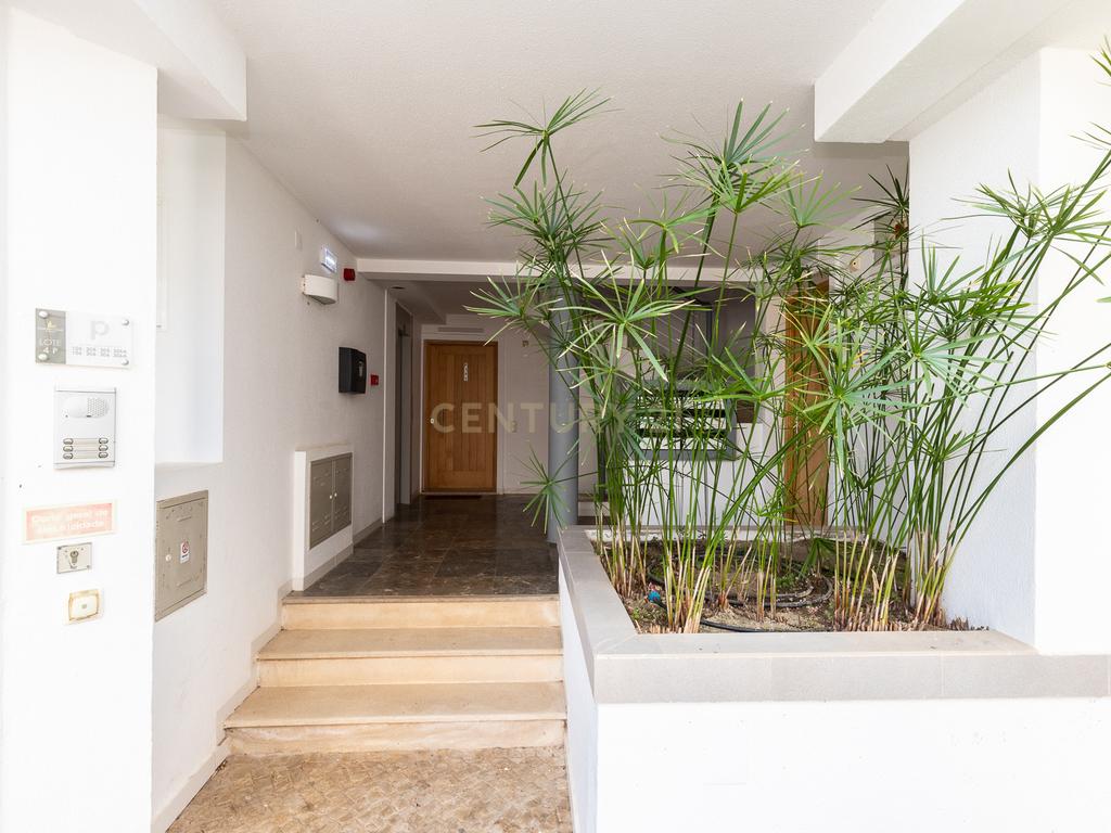 T2 , Golden Club Cabanas. - Image 1