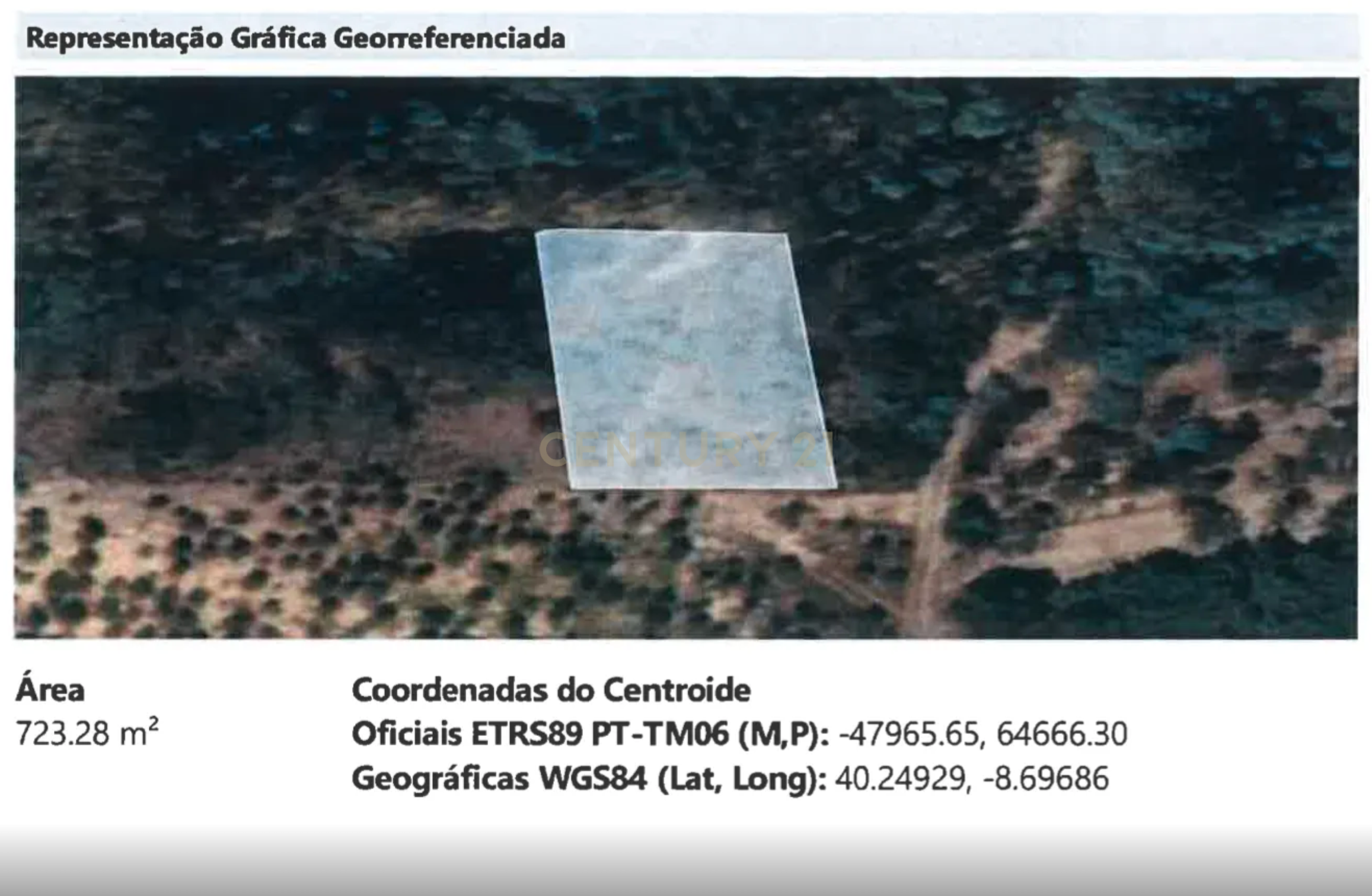 Fotografia 11 de Pinhal com cerca de 720 m² em Canazieira – Cabeça Alta, Montemor-o-Velho