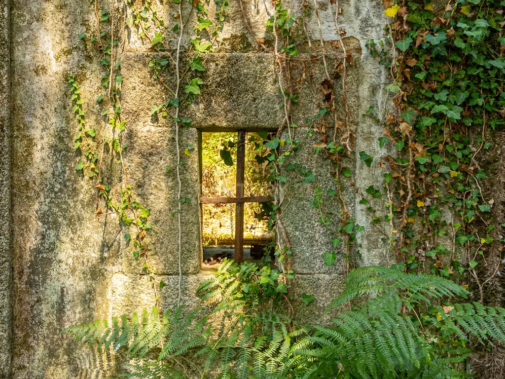 Quinta para reconstrução , em Anais, em Ponte de Lima – a vila mais antiga de Portugal. - Image 15