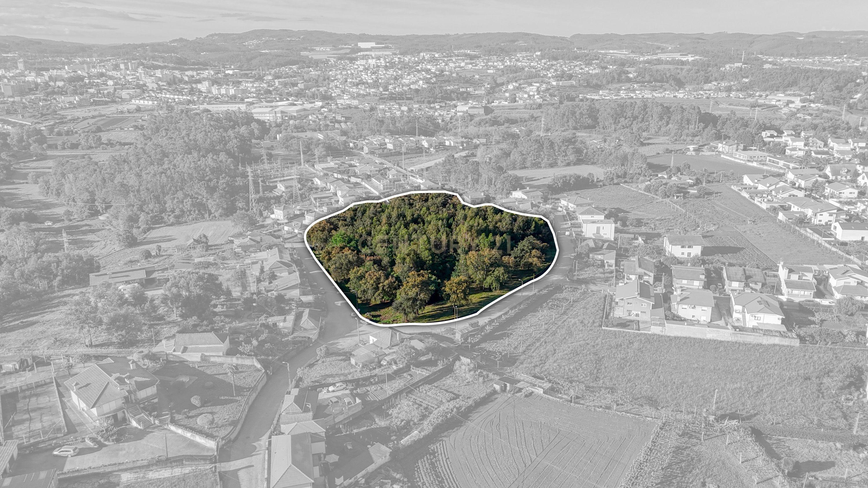 Terreno com 14.000m2 próximo ao Centro de Santo Tirso - Image 4
