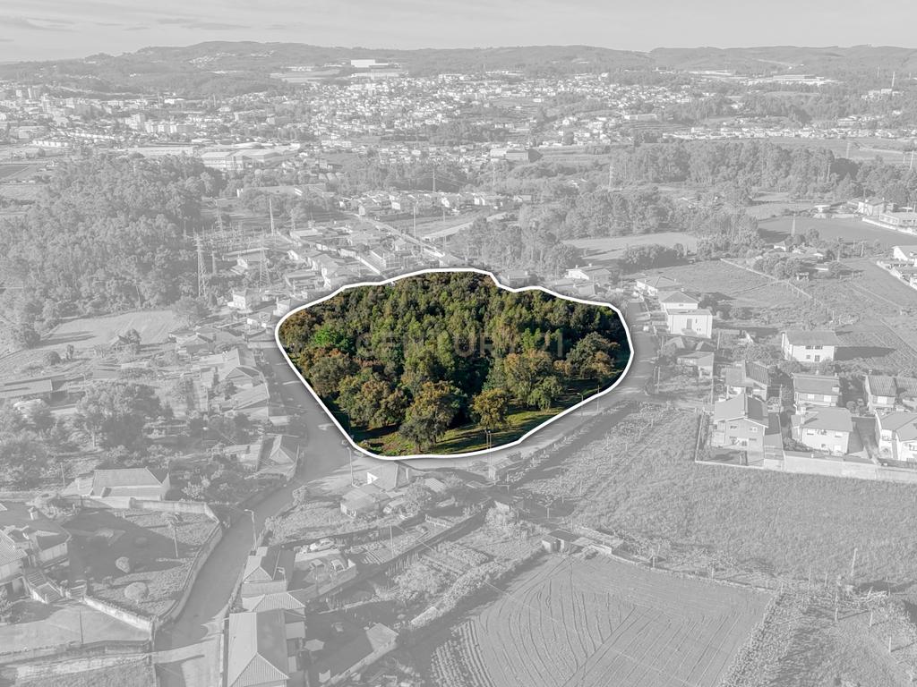 Terreno com 14.000m2  próximo ao Centro de Santo Tirso - Image 4