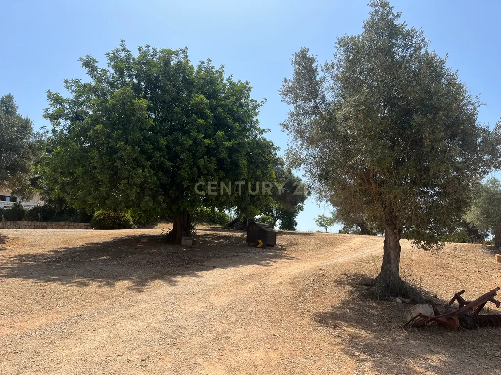 Quinta com 208.790m2, em Plena produção de Citrinos, e estufas, com elevado rendimento. Grande Potencial para projetos com fundos Europeus, e Turismo Rural. - Image 20