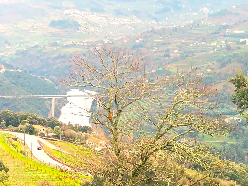 Belíssima ruína em terreno verdejante com vista deslumbrante para o Rio Douro, Baião, Porto - Image 1