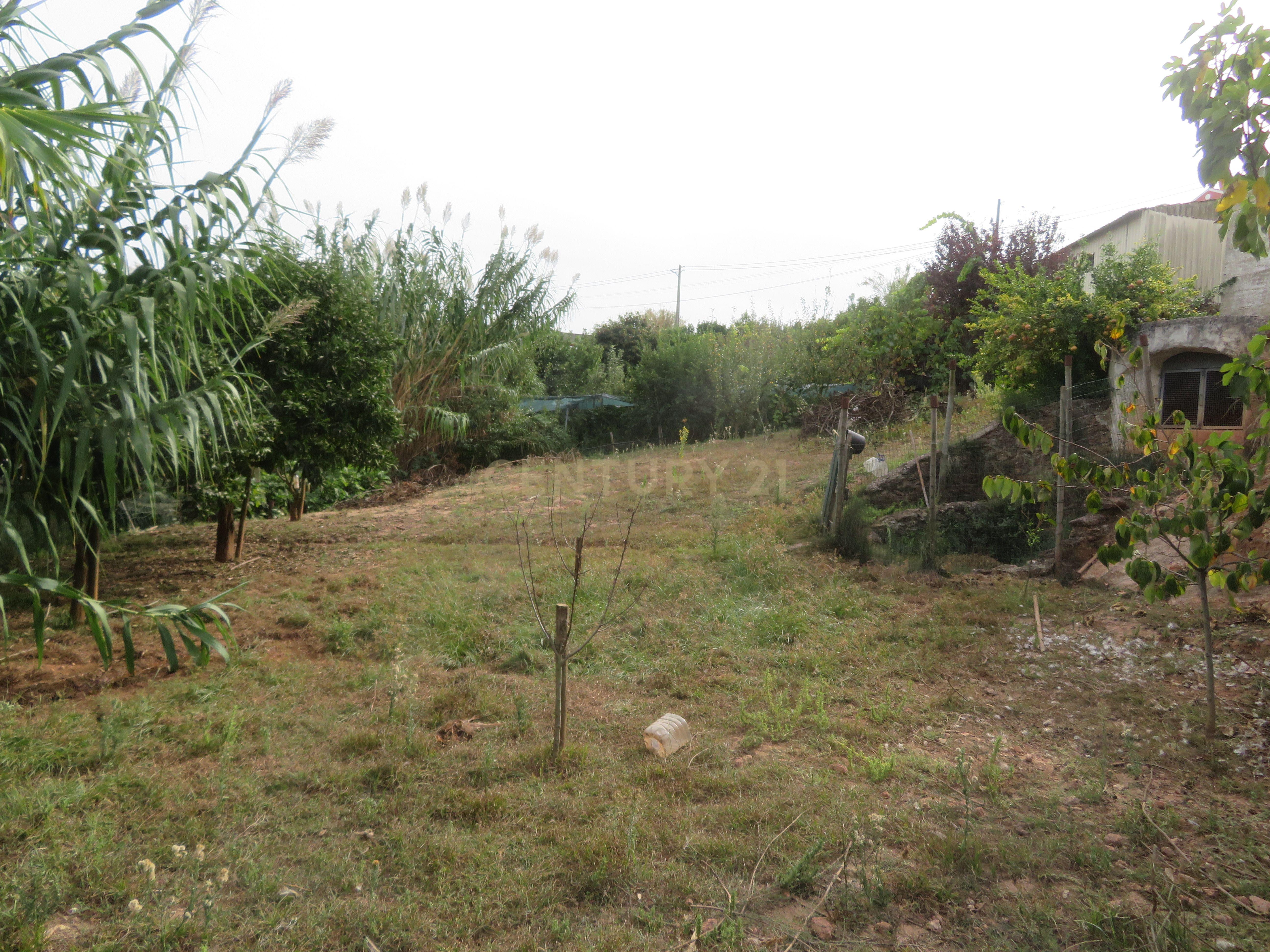 Moradia T3 à venda em Carvoeira e Carmões, Torres Vedras — foto 27
