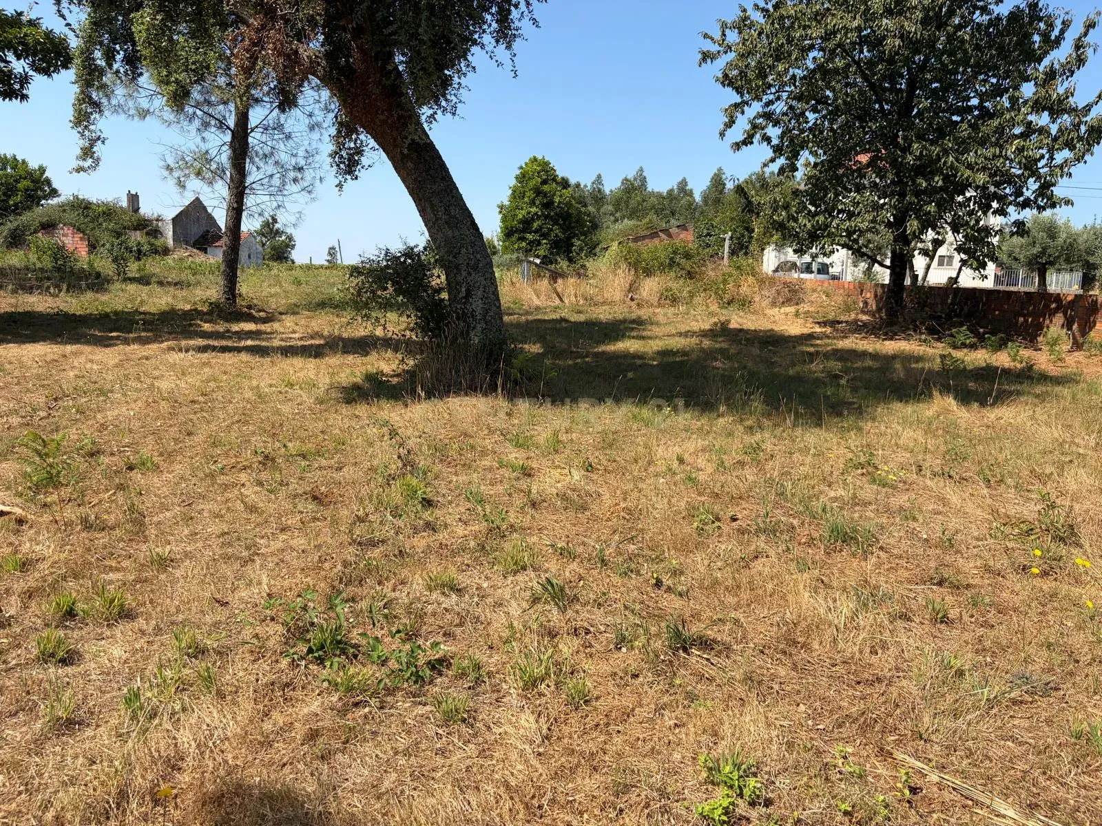 Fotografia 5 de Terreno Urbano em Nossa Senhora do Pranto, Ferreira do Zêzere