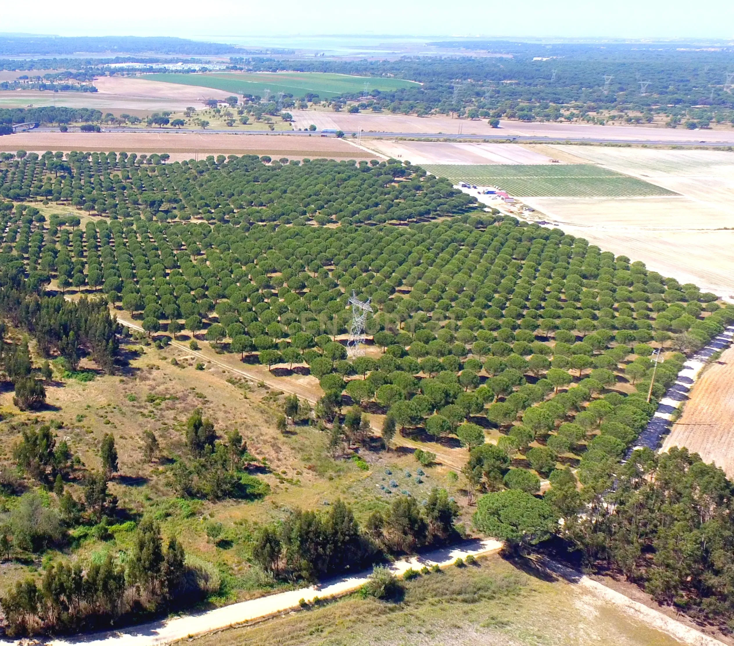 Herdade Dos Mascarenhas com 102 hectares em Palmela - Image 16