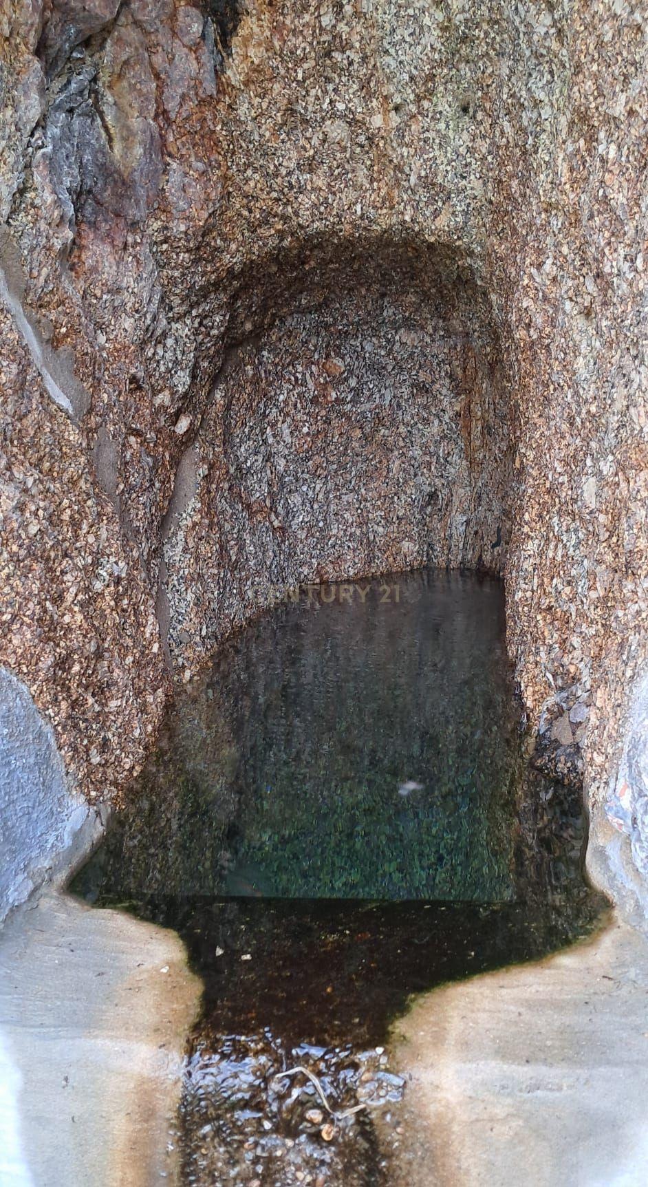 Moradia para reconstrução em Lardosa, Soalhães - Image 10