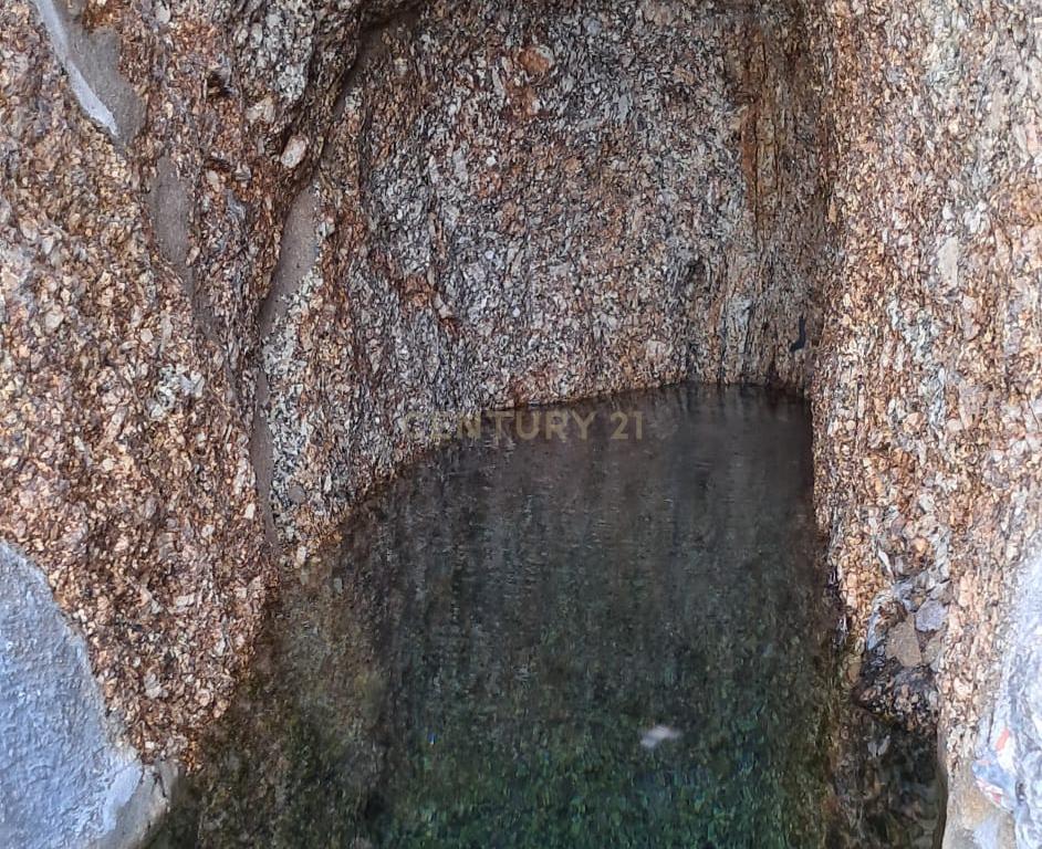 Moradia para reconstrução em Lardosa, Soalhães - Image 10