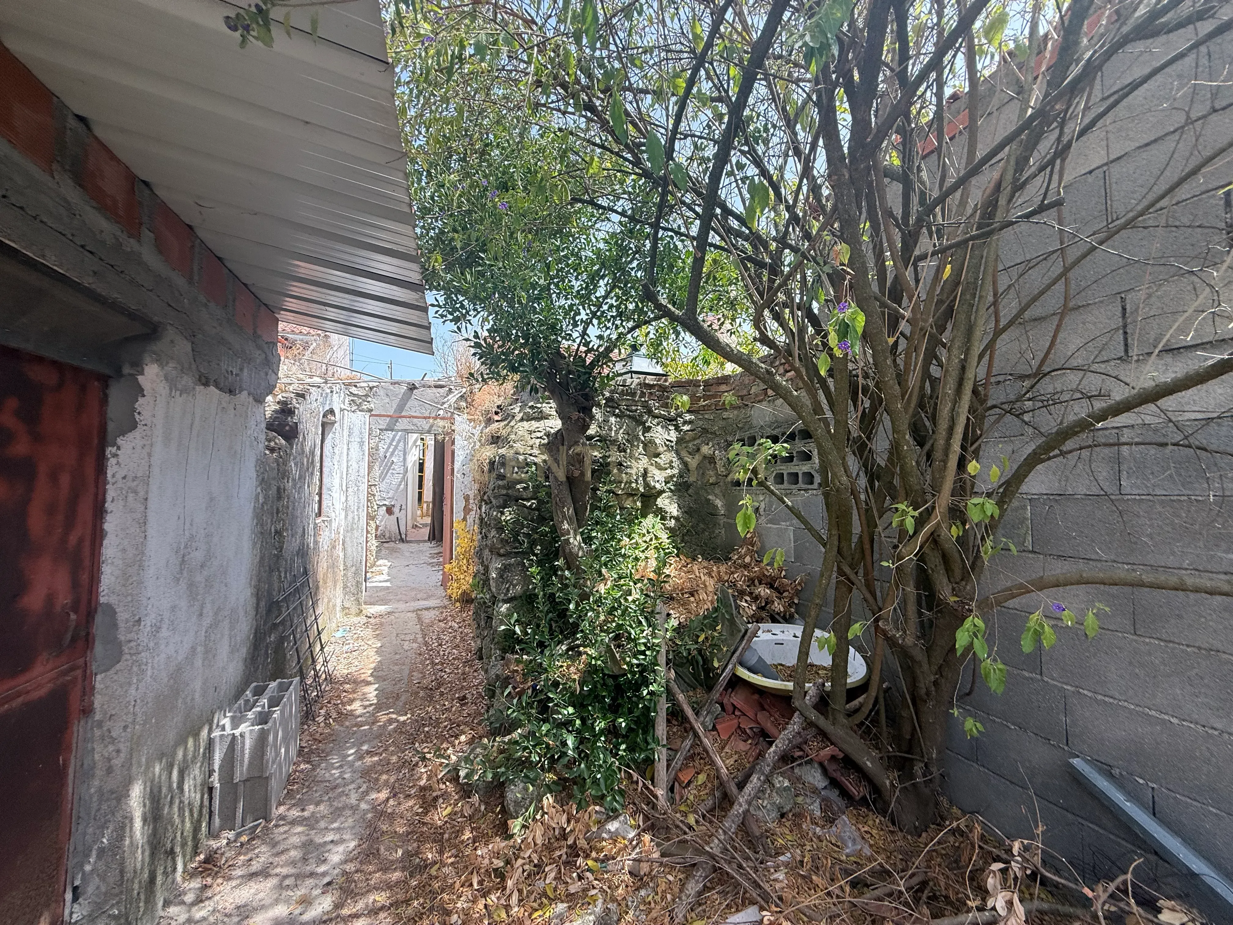 Moradia T1 à venda em Assentiz, Torres Novas — foto 9