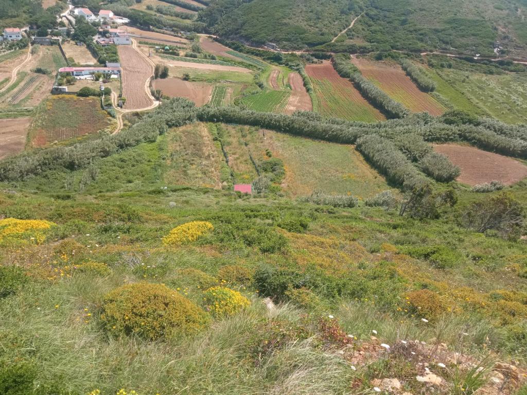 Terreno em Sintra, Perto da Praia de São Julião  - Image 6