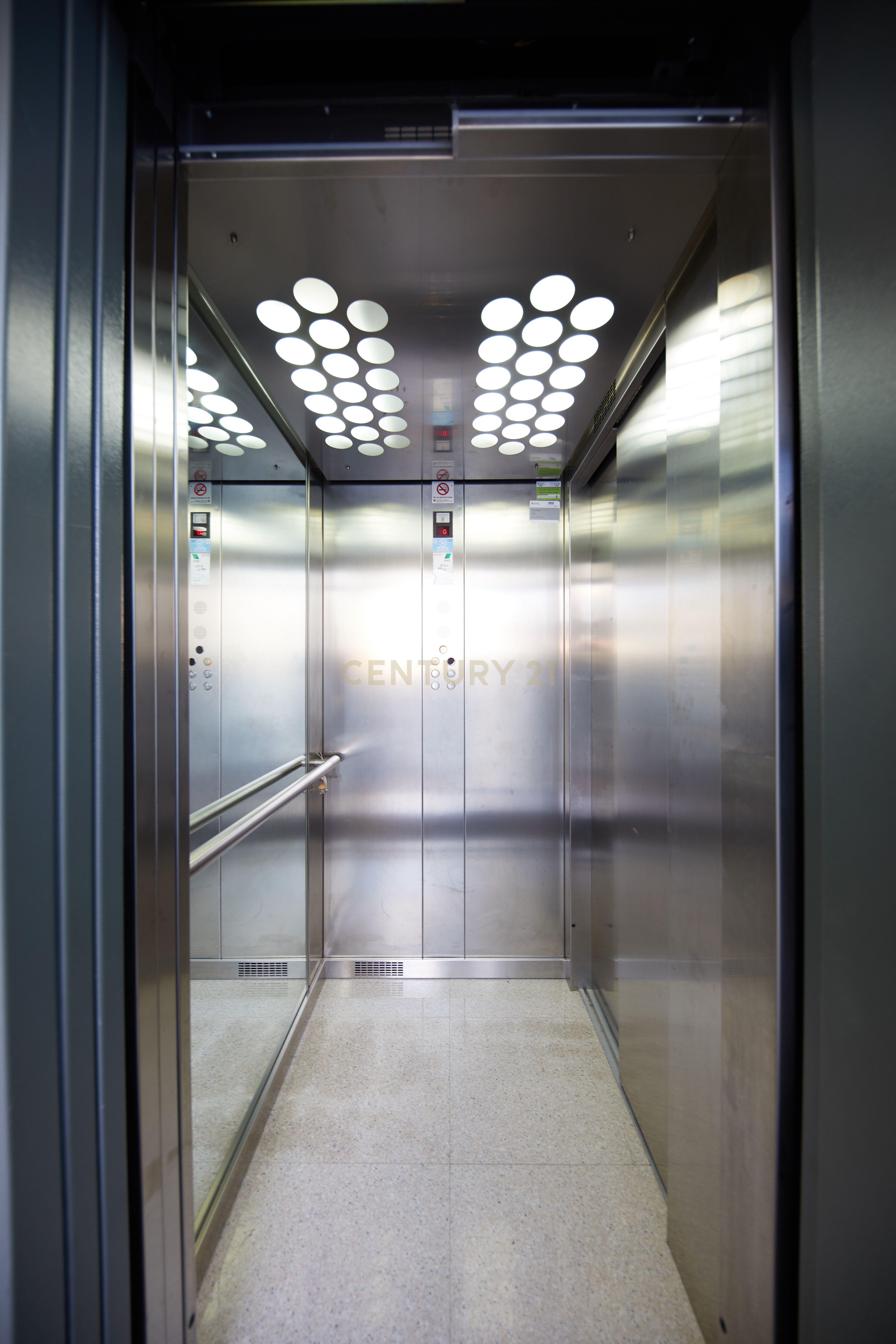 - Image 7