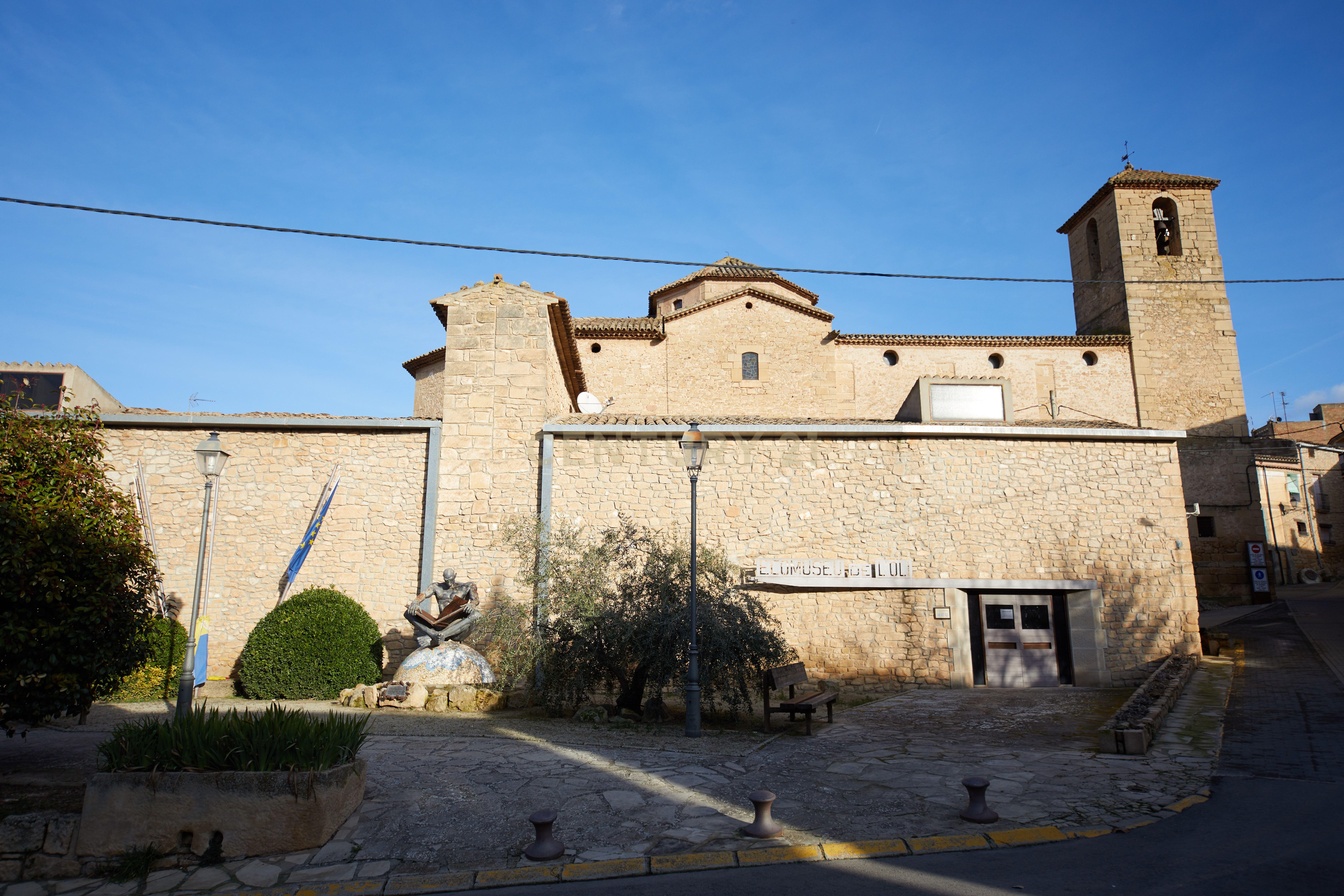 - Image 15