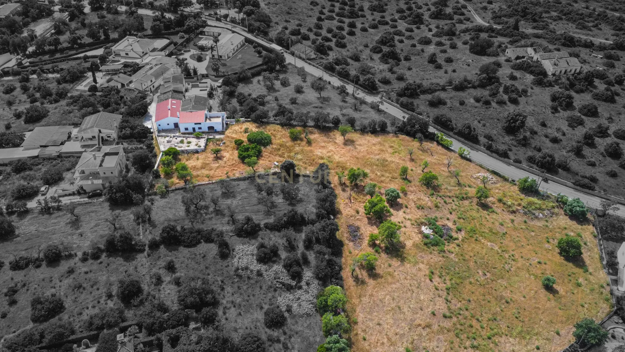 Quinta Rural - Vales de Pêra - Algarve