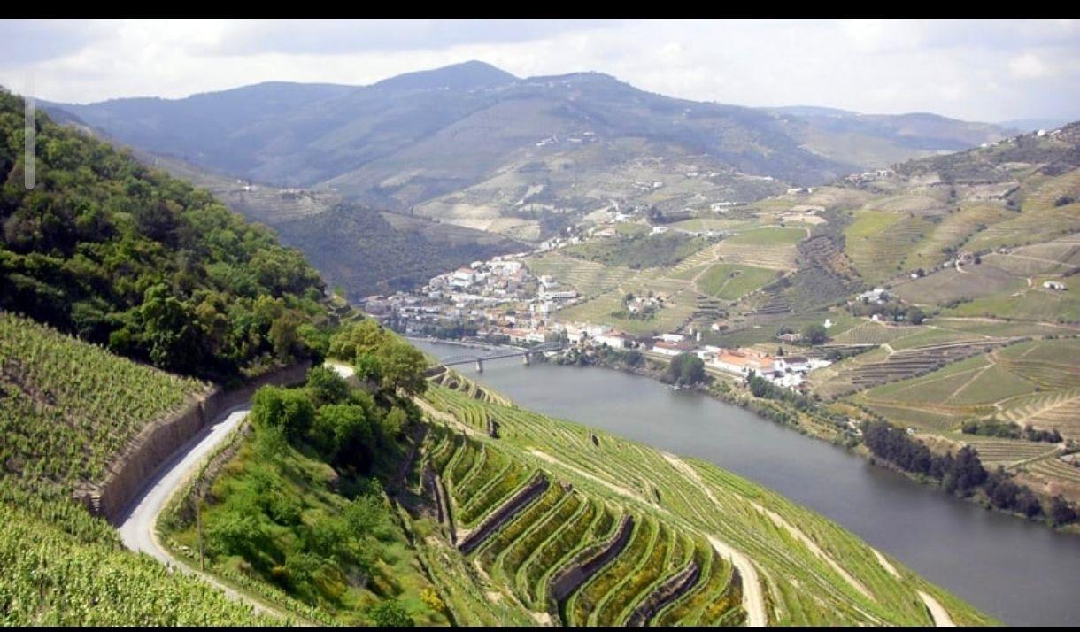 Fotografia 10 de Propriedade de origem secular no Alto Douro Vinhateiro (UNESCO), junto às Termas do Moledo