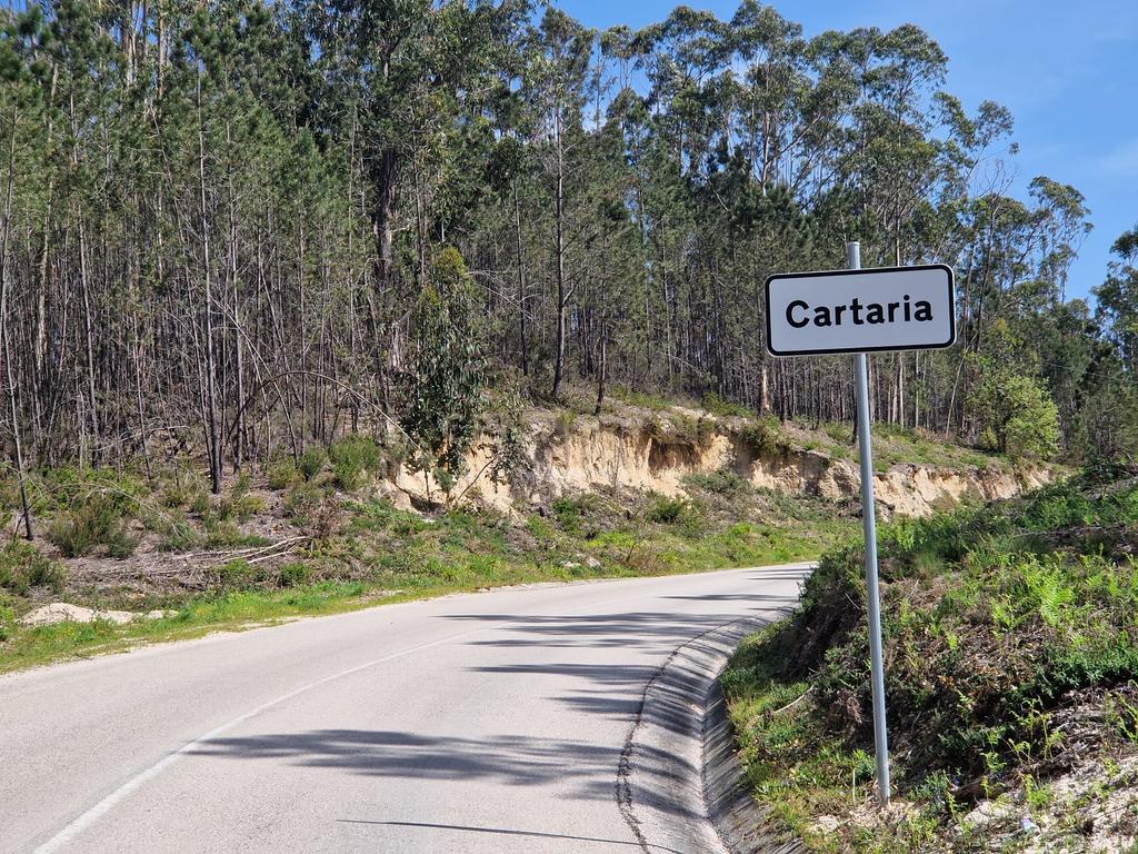 Terreno para construção de Moradia em Cartaria - Image 6