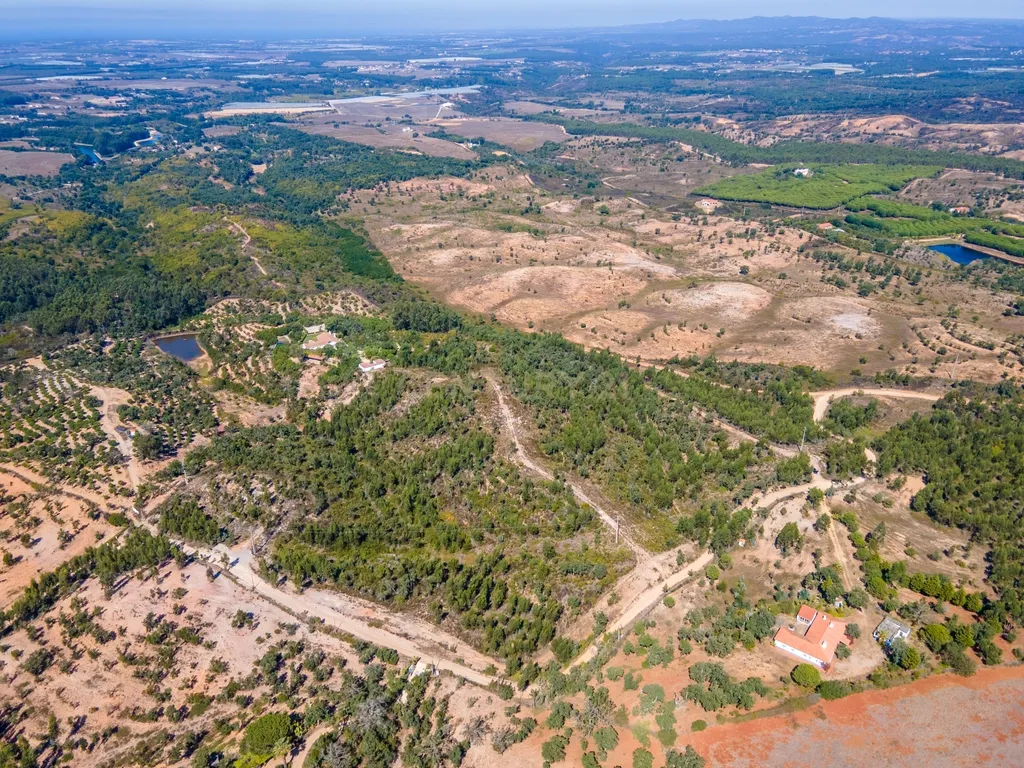 🌿 Terreno Exclusivo com 8 ha em São Teotónio — Oportunidade Única no Coração da Costa Vicentina 🌊 - Image 4