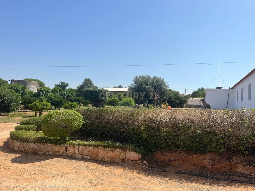 Quinta com 208.790m2, em Plena produção de Citrinos, e estufas, com elevado rendimento. Grande Potencial para projetos com fundos Europeus, e Turismo Rural. - Image 1