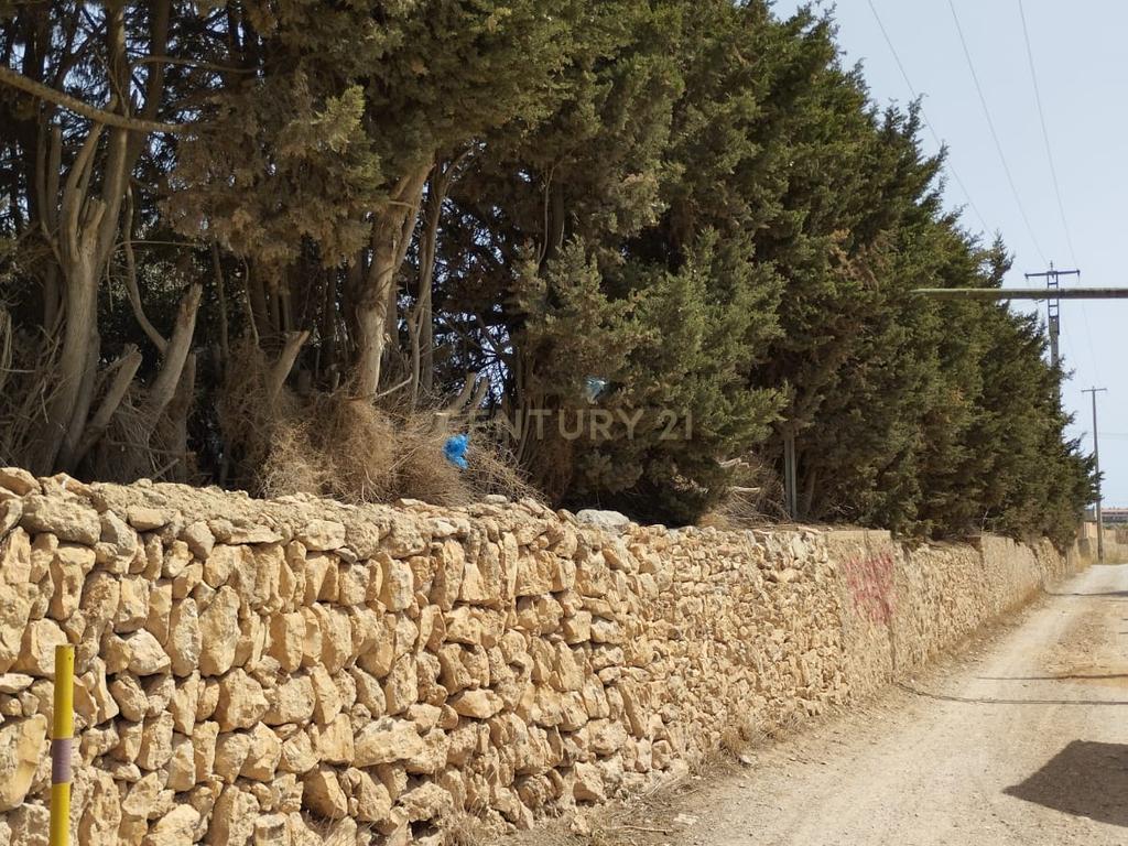 undefined - Image 2