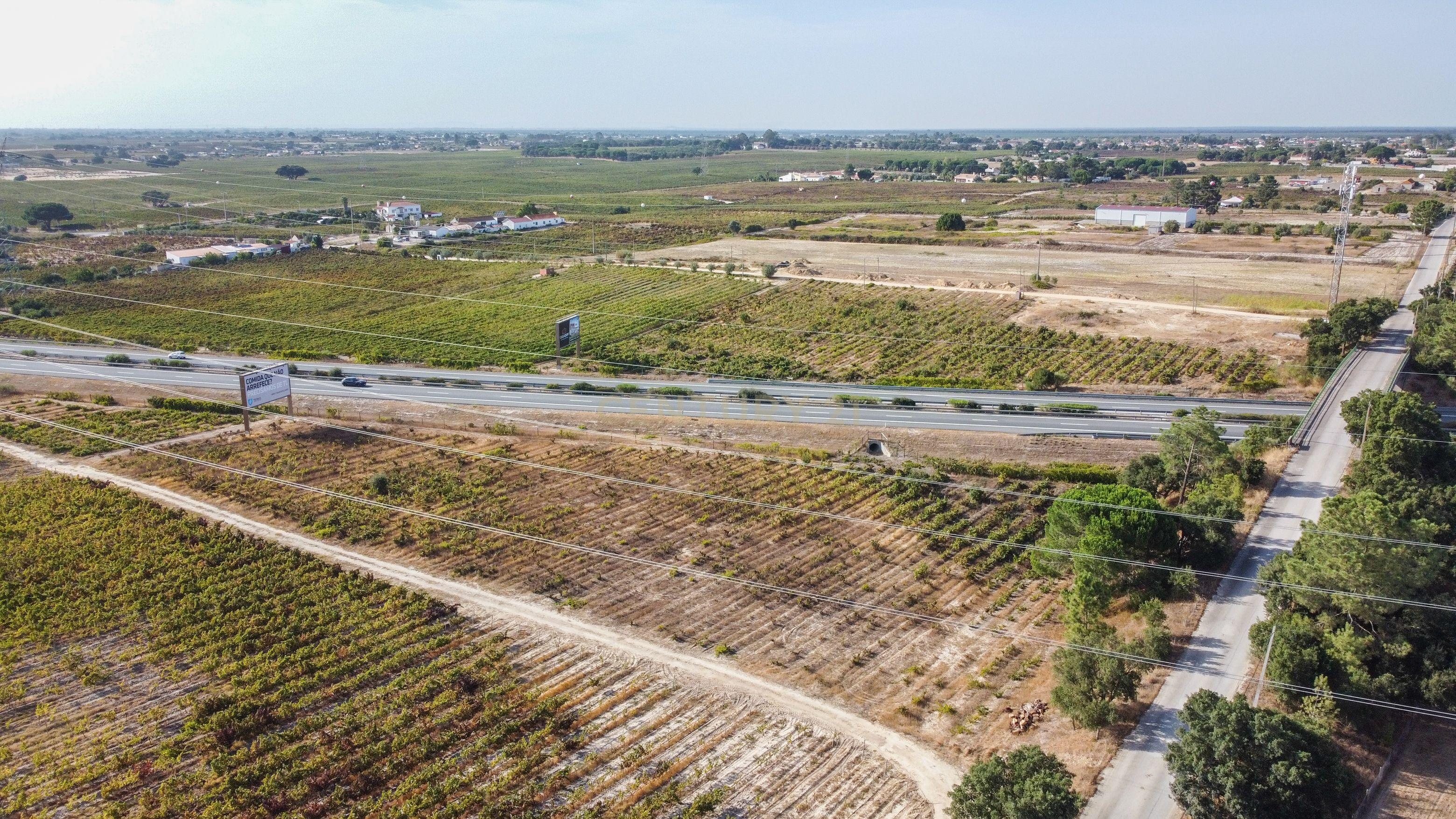 Fotografia 9 de Terreno Rústico com PIP Favorável para Construção de Moradia – Cajados, Palmela