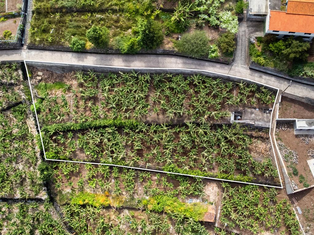 Terreno para construção 1946m2 - Arco da Calheta - Image 5