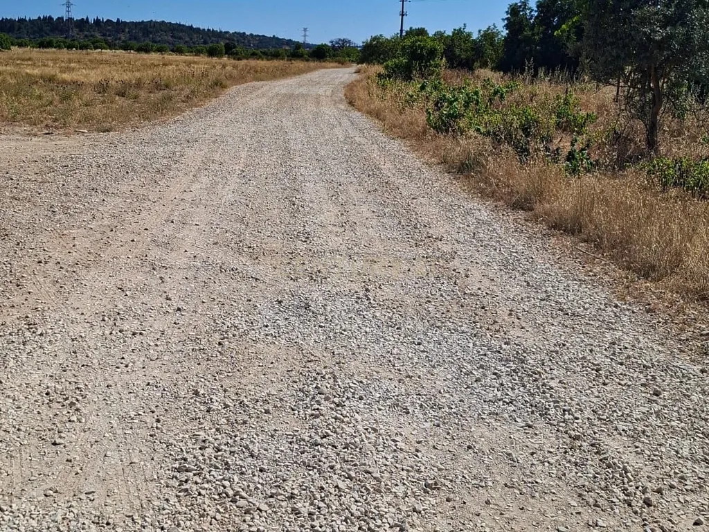 Terreno Rústico com Grande Potencial Agrícola – 7.800 m² em Paderne, Albufeira - Image 9