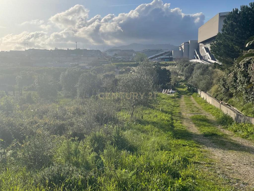 Oportunidade de Investimento em Rio de Mouro – Cabeça Gorda / Anafais - Image 17