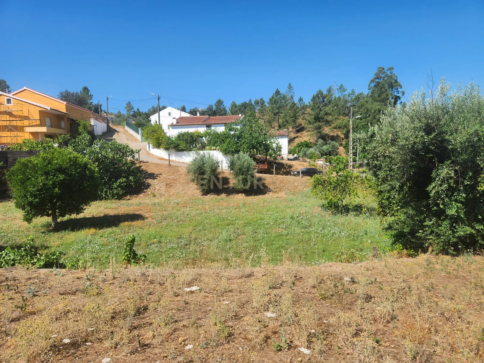 Fotografia 8 de Terreno com agua, luz, saneamento e arvores de fruto em Tostão - Vila Velha de Ródão