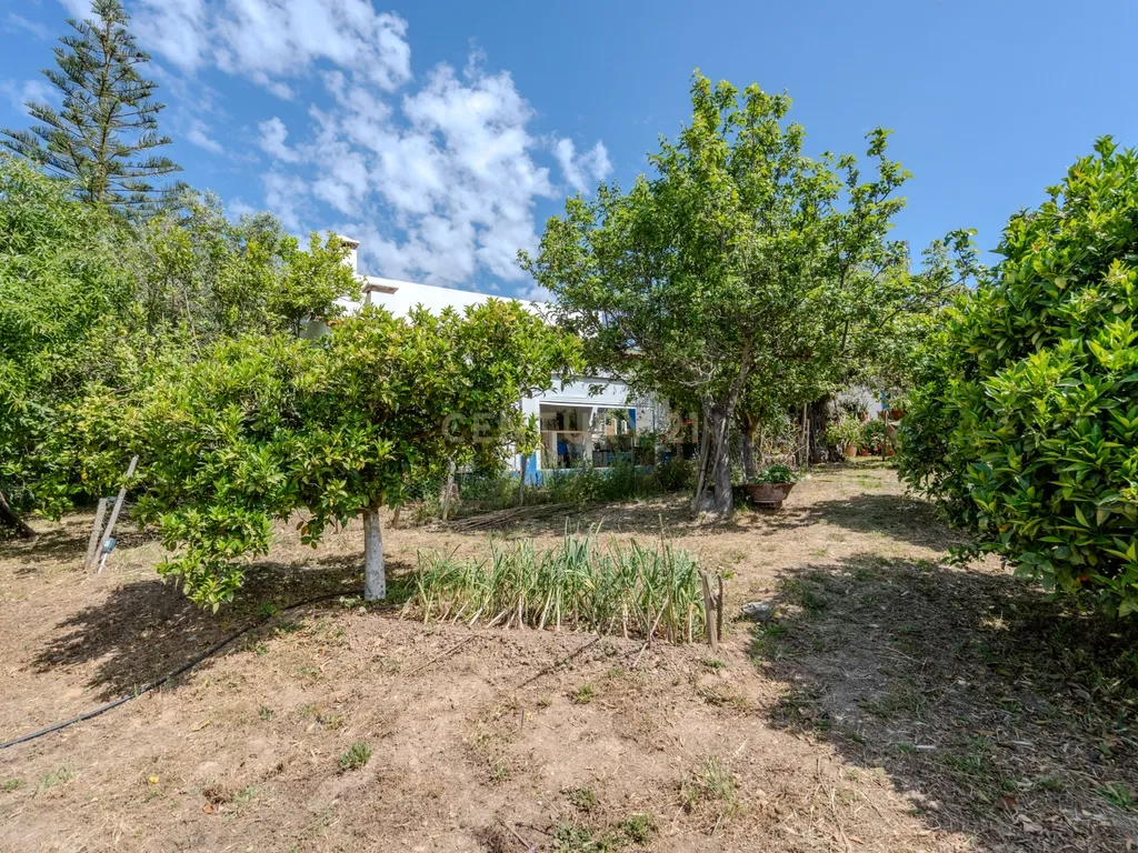 Quinta T3+3 com 4 HA em Borba – Natureza, Produção Agrícola e Conforto - Image 12