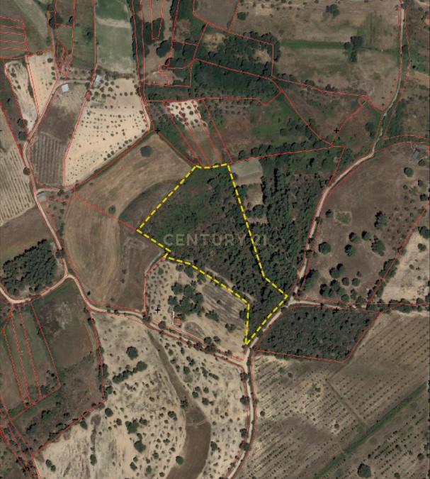 Terreno com 12500 m2 , Tinalhas, Castelo Branco - Image 17