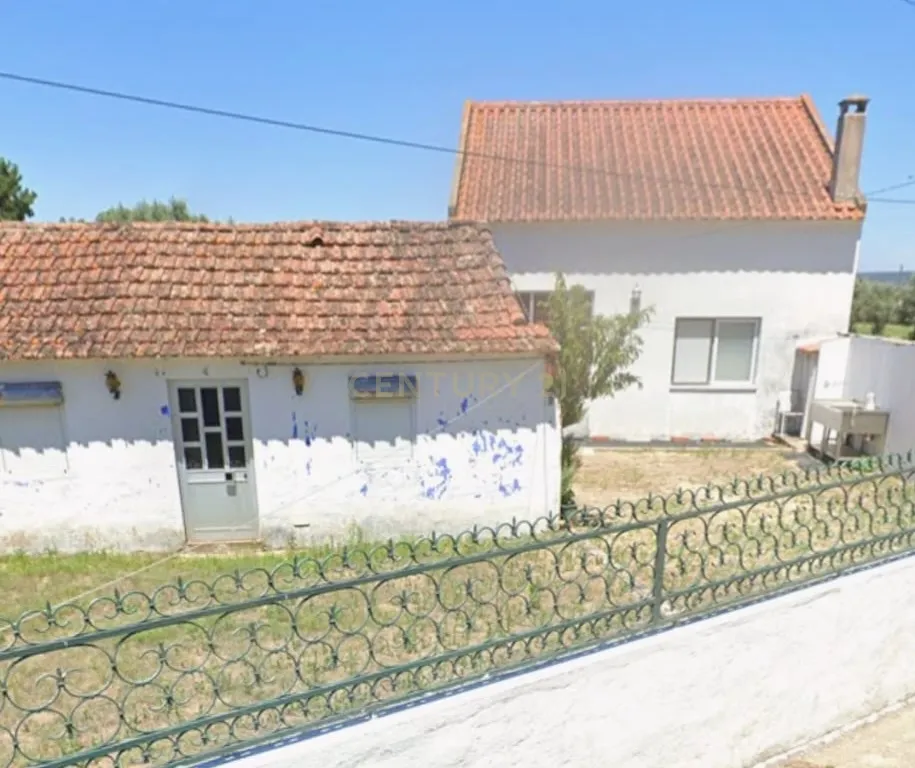 Moradia com Terreno para Venda – Carregueira (Chamusca) , Terreno: 2.120 m² | Moradia com potencial | Árvores de fruto | Água de poço - Image 3