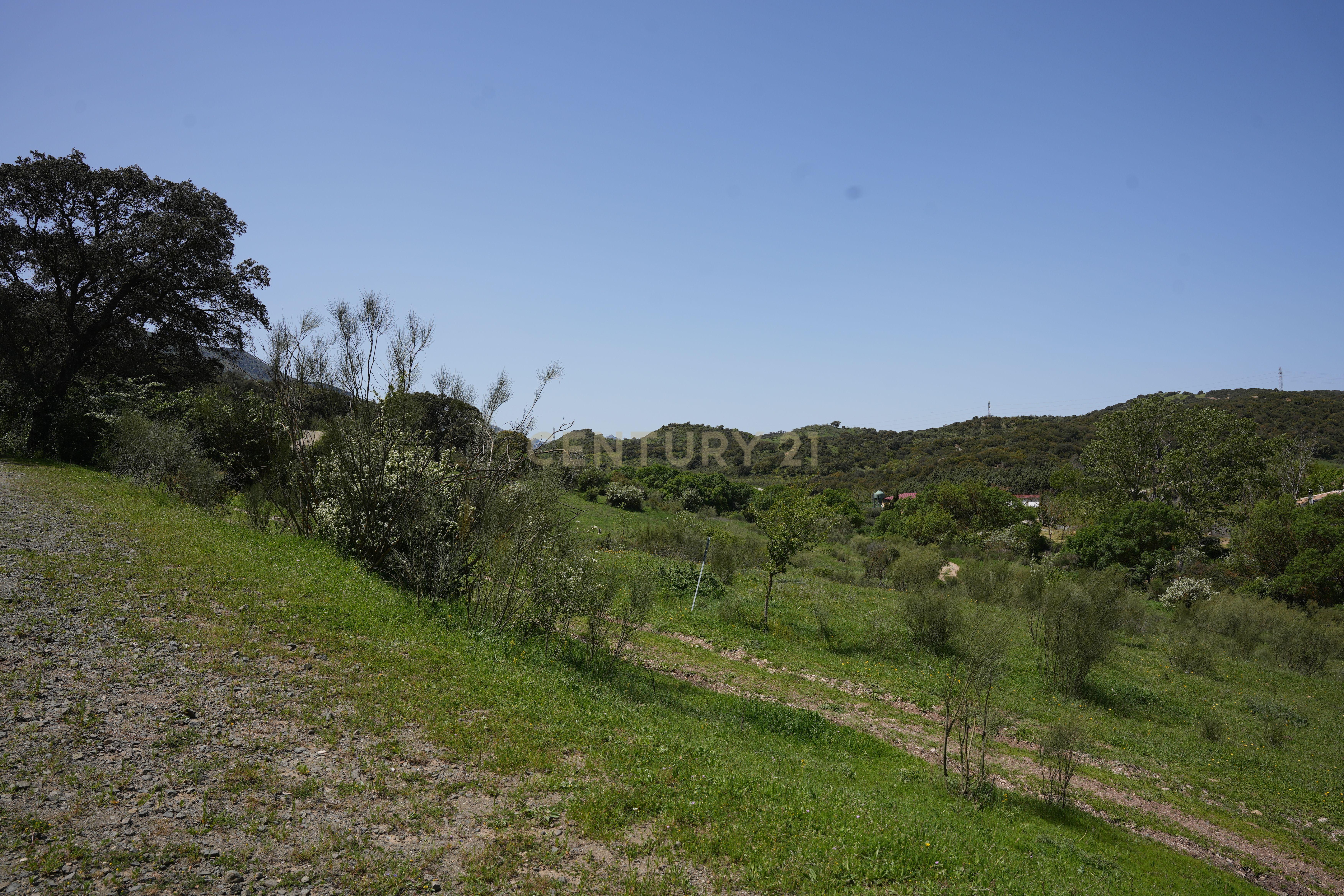 VENDA DE PROPRIEDADE RÚSTICA EM ANTEQUERA COM EXPLORAÇÃO DE AGROTURISMO - Image 85