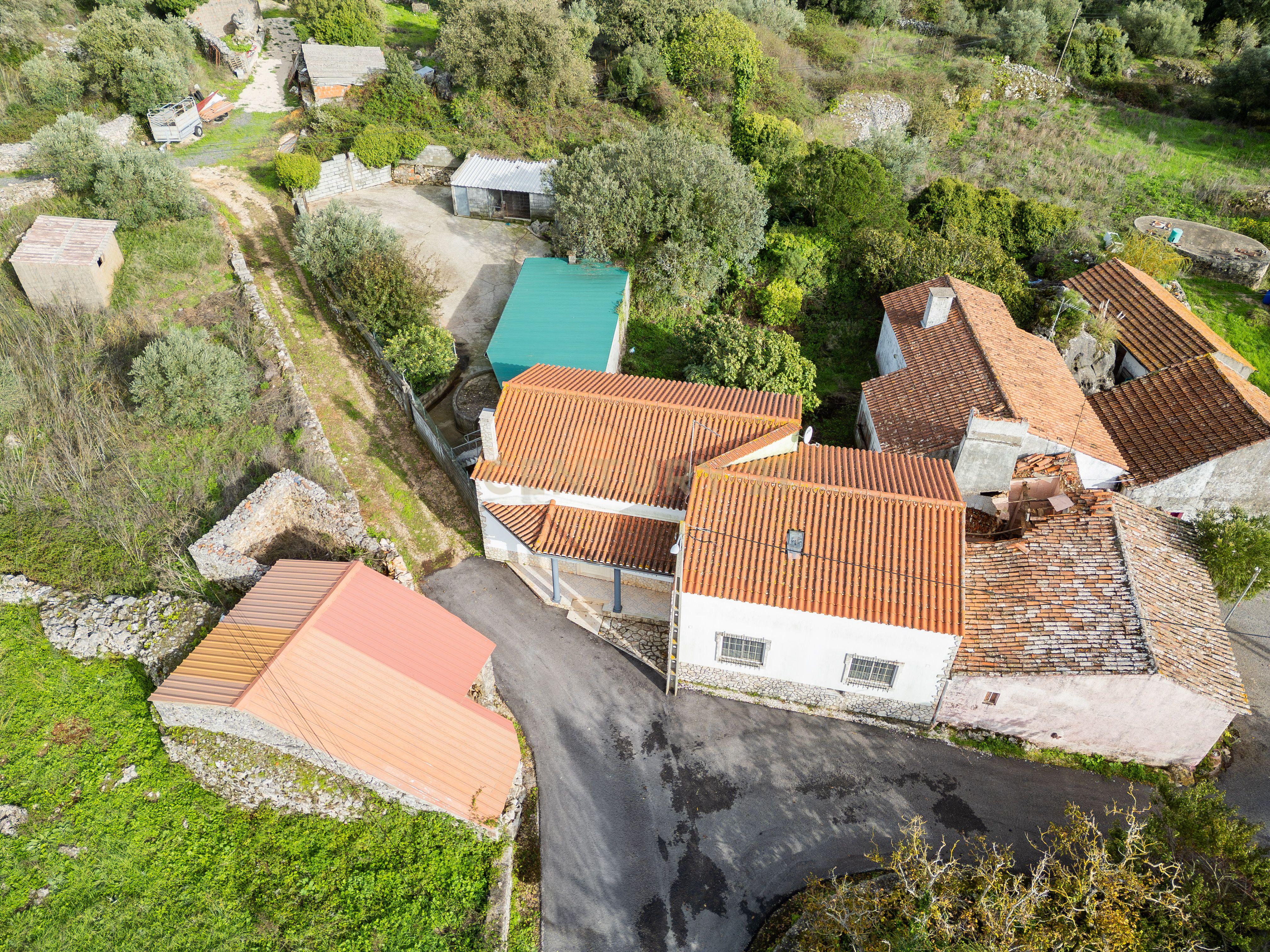 Fotografia 10 de Casinha de pedra em Serra de Santo António