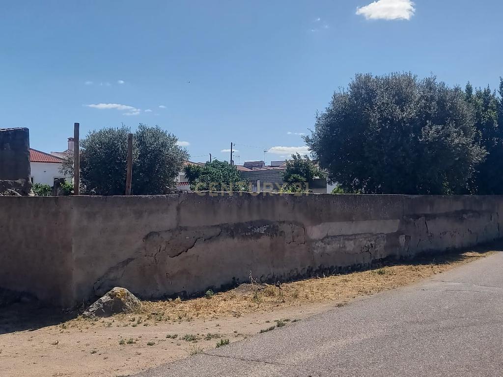 PEDROGÃO ALENTEJO - EXCELENTE TERRENO PARA CONSTRUÇÃO - Image 24