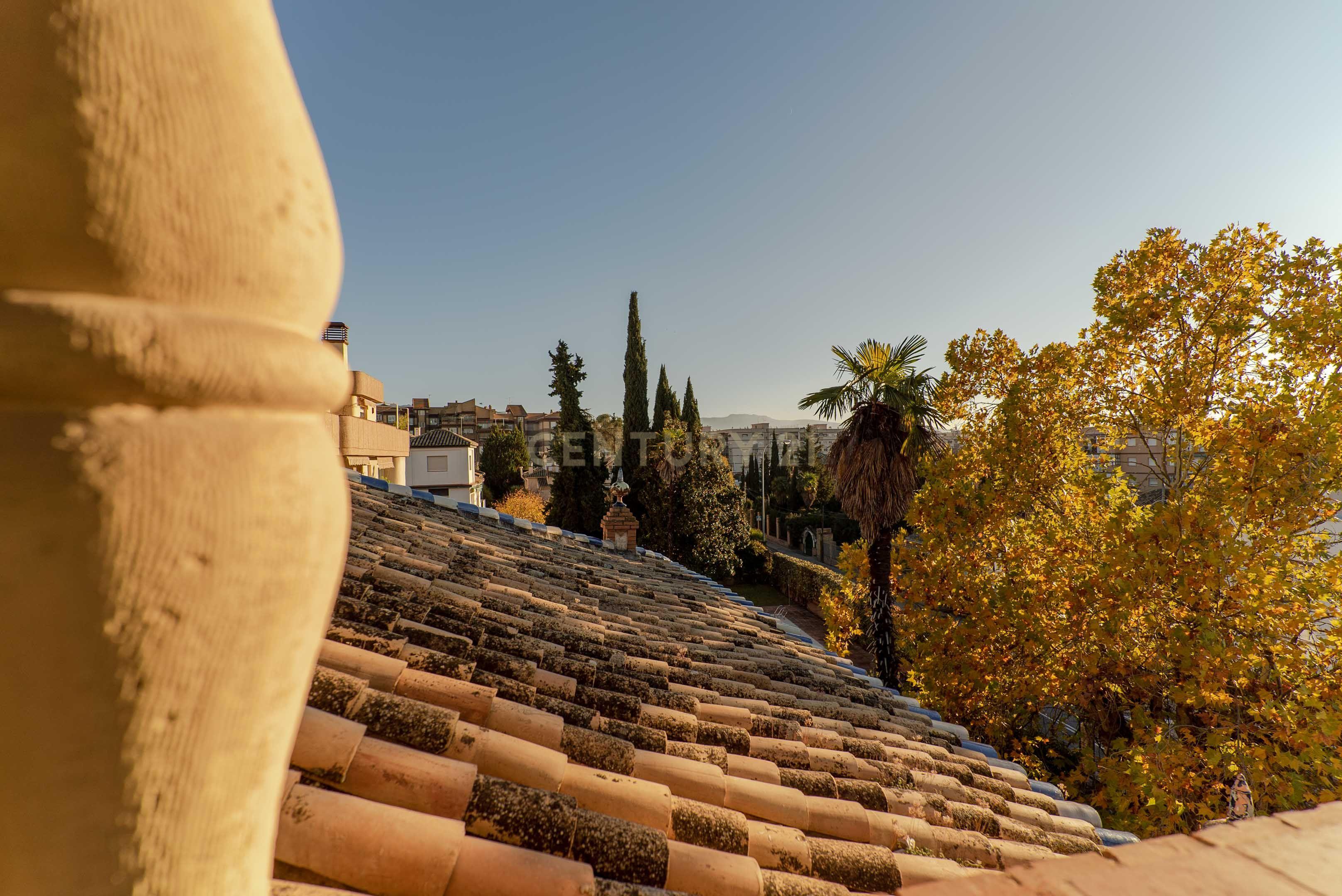 undefined - Image 24