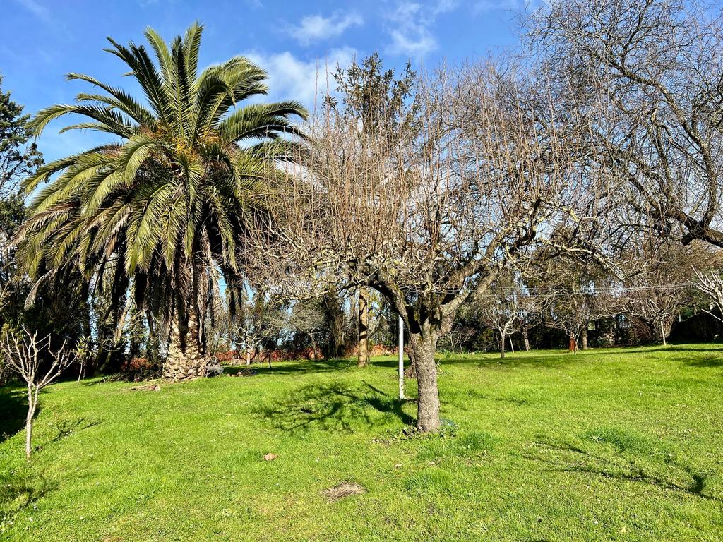 undefined - Image 8