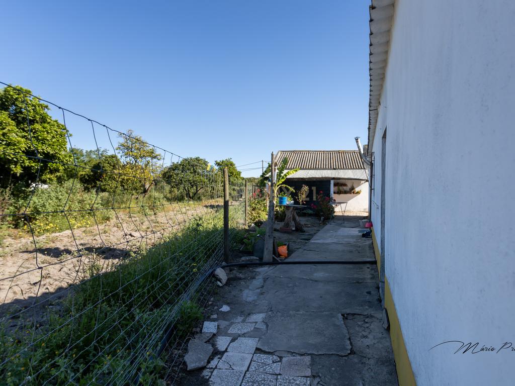 Quinta com Moradia T9 - Santo Isidro de Pegões - Montijo - Image 24