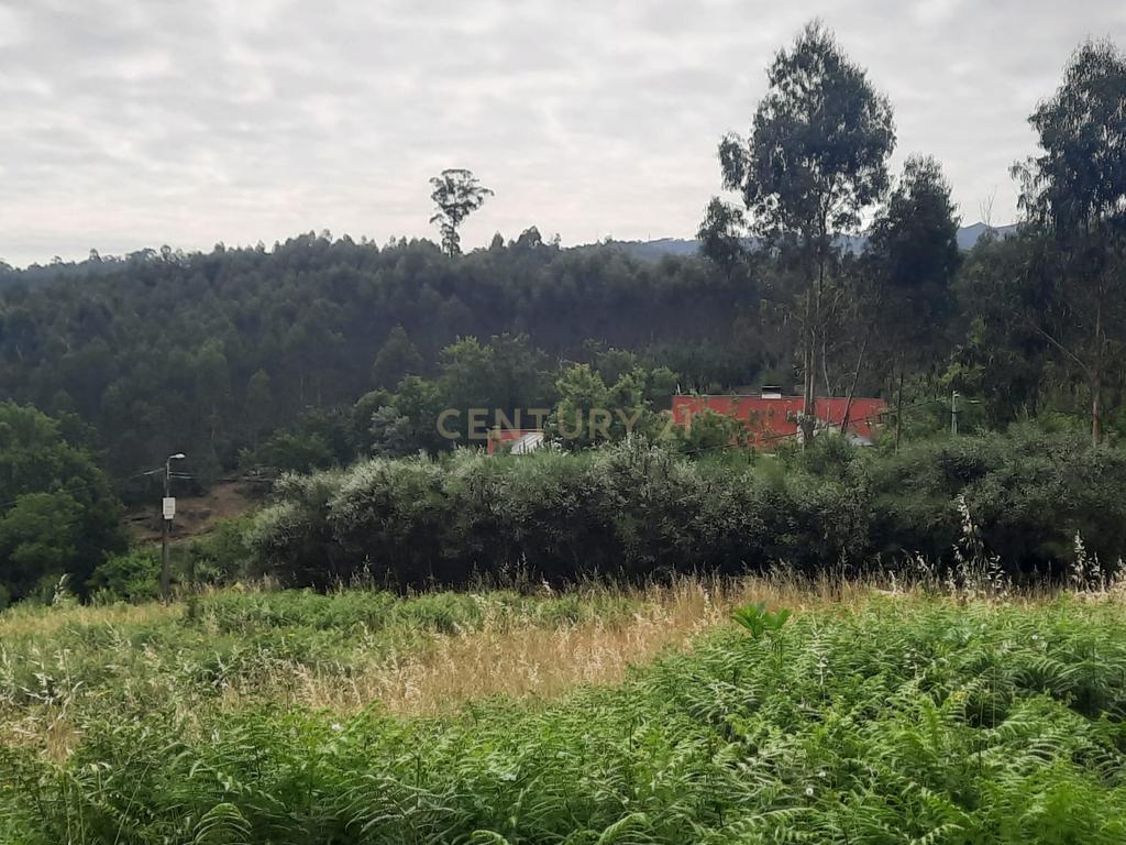Casa moderna T3  e terreno rústico perto de Oliveira de Frades e Vouzela, preço total 125.000.00 euros! - Image 26