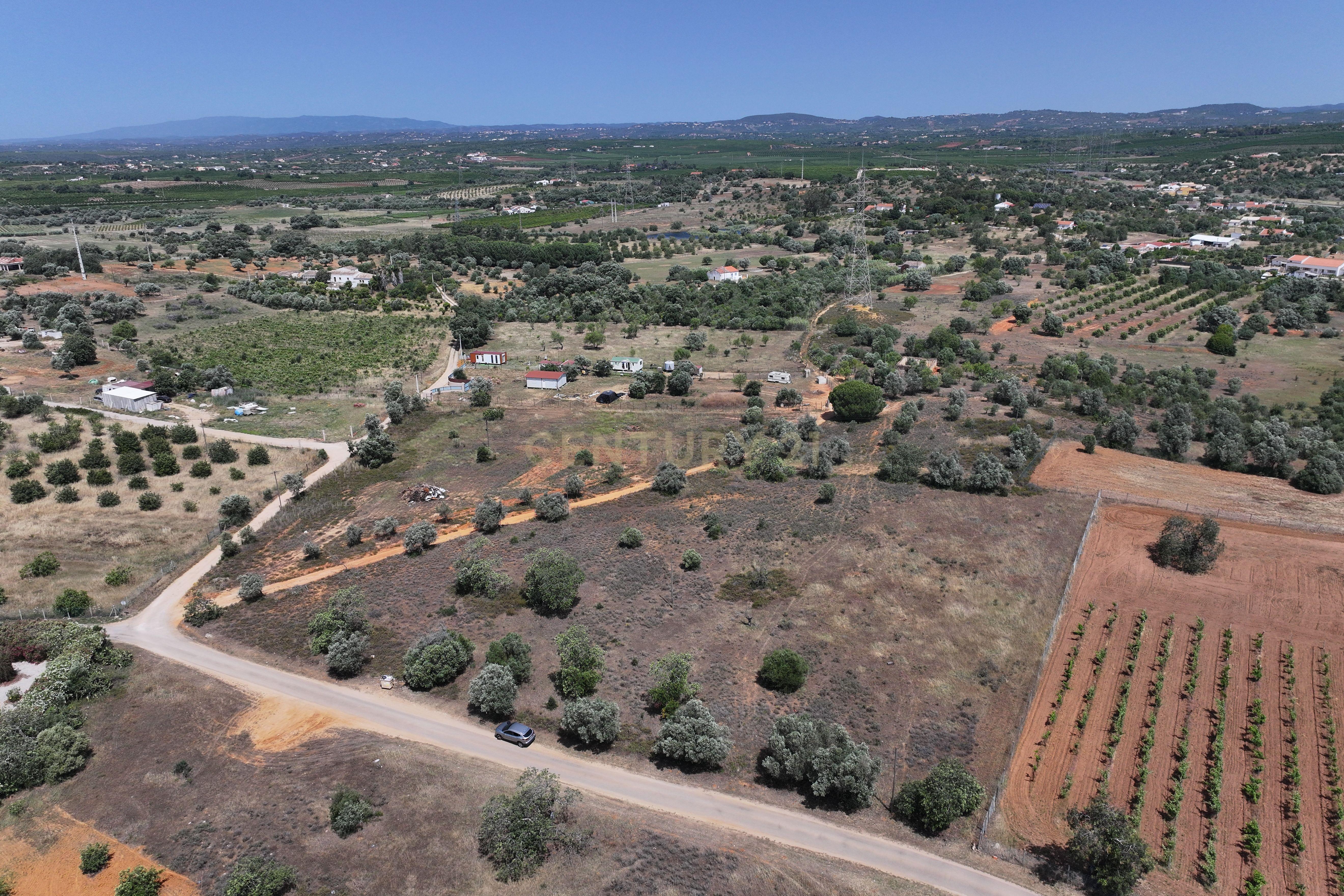 Fotografia 8 de Terreno rústico localizado em Cortesões -Tunes, com uma área total de 7320m²