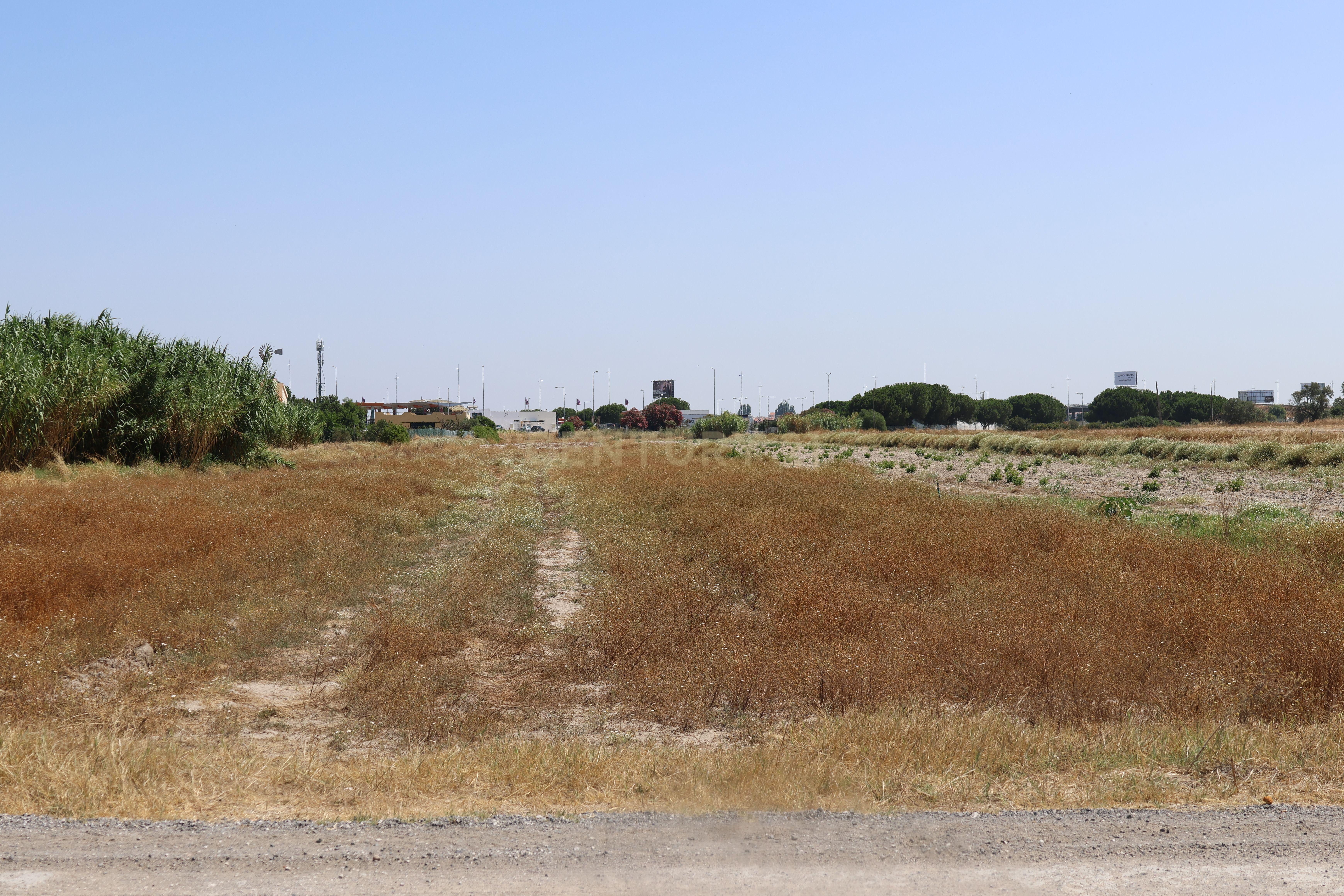 Fotografia 7 de Terreno 1.6 Ha Samouco - Alcochete