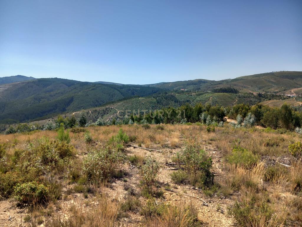 Terreno Rustico, Roqueiro - Image 8