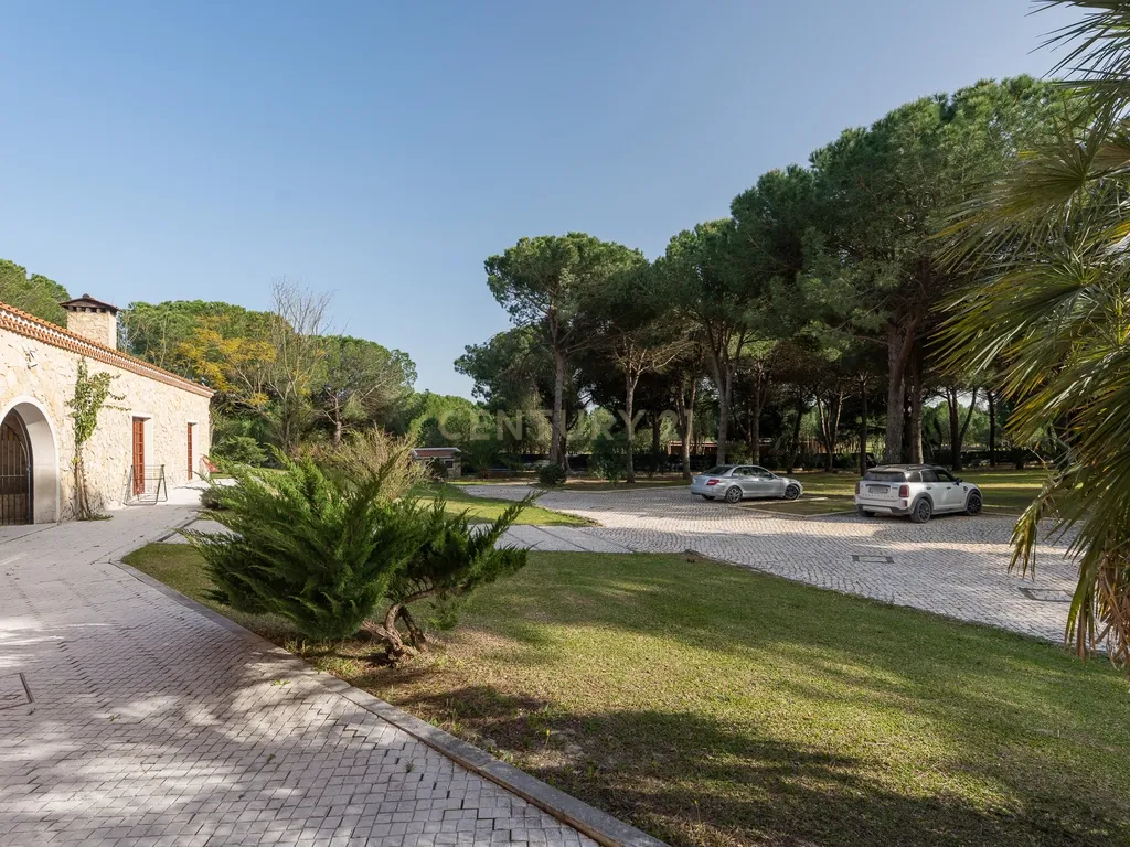 Fabulosa Quinta com lote de terreno de 22.381 m2, onde se encontra inserida uma moradia composta por dois pisos, com uma área bruta de 623 m2, uma área útil de 304 m2 e uma área bruta dependente de 319 m2, localizada em Santo Isidro de Pegões, na zona de Pegões, a pouca distância das belas praias de Setúbal. - Image 119