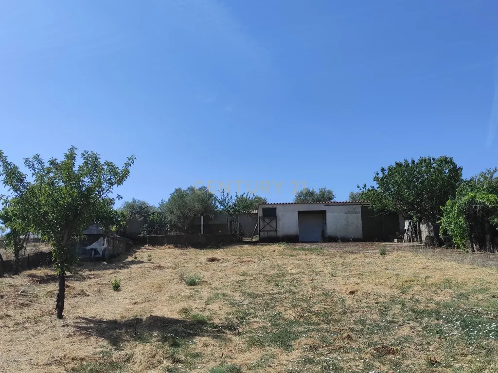 Casa Moderna em Campo de Víboras (Vimioso) com Jardim e Garagem - Image 9